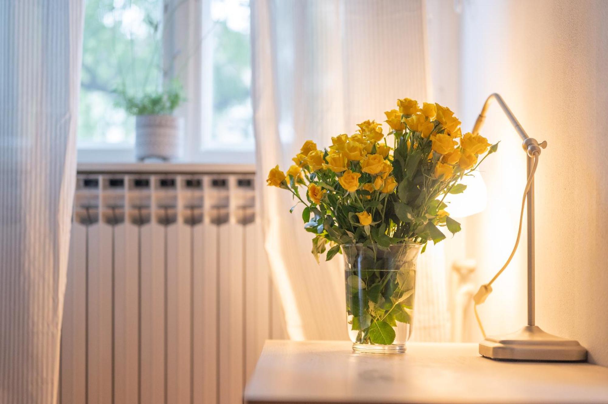 Bricks & Bikes Apartman Zágráb Kültér fotó