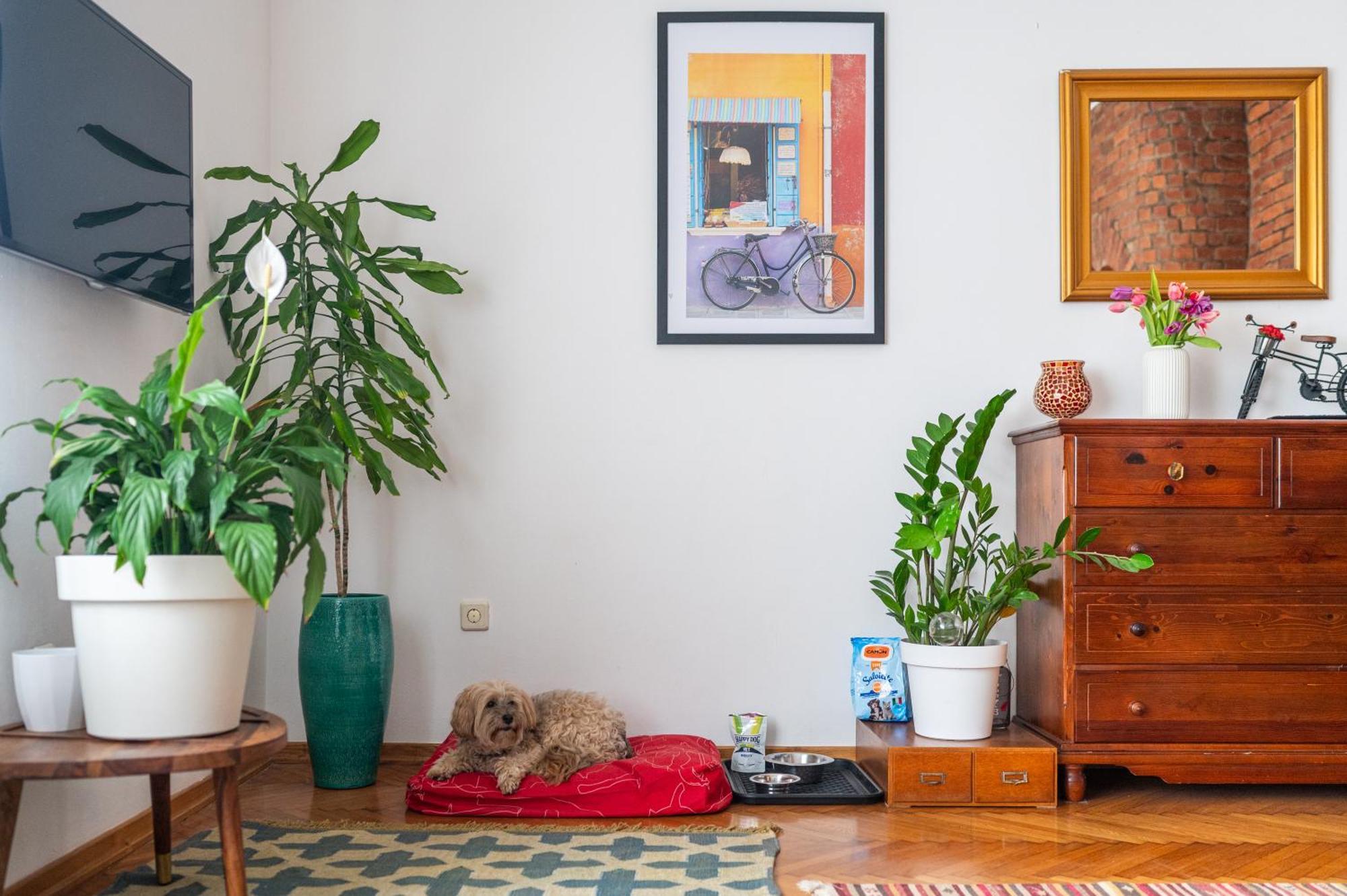 Bricks & Bikes Apartman Zágráb Kültér fotó